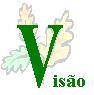 Visão